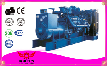 石家莊贊皇縣柴油發電機組